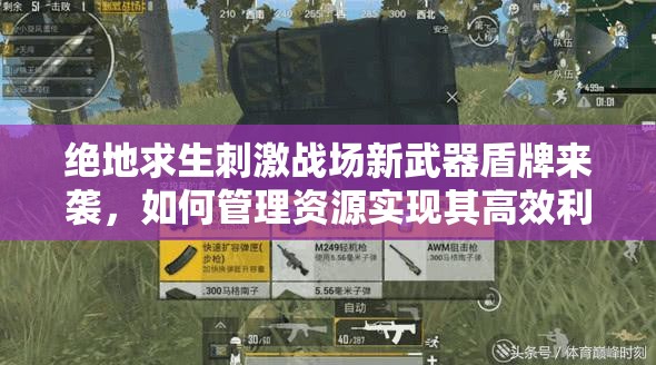 絕地求生刺激戰(zhàn)場新武器盾牌來襲，如何管理資源實現(xiàn)其高效利用與價值最大化？