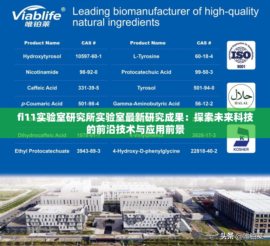 fi11實驗室研究所實驗室最新研究成果：探索未來科技的前沿技術(shù)與應(yīng)用前景