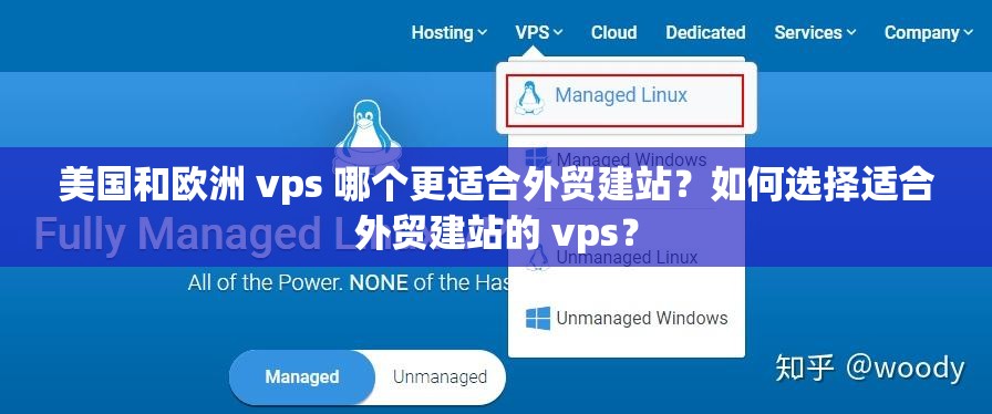 美國和歐洲 vps 哪個更適合外貿(mào)建站？如何選擇適合外貿(mào)建站的 vps？