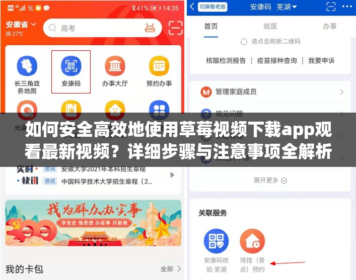 如何安全高效地使用草莓視頻下載app觀看最新視頻？詳細步驟與注意事項全解析