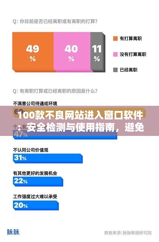 100款不良網(wǎng)站進入窗口軟件：安全檢測與使用指南，避免網(wǎng)絡風險與隱私泄露問題