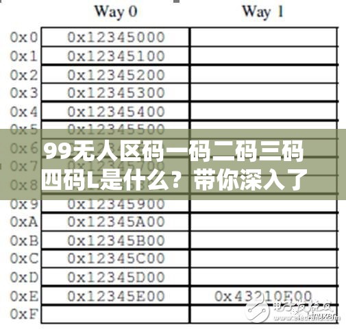 99無人區(qū)碼一碼二碼三碼四碼L是什么？帶你深入了解其神秘之處