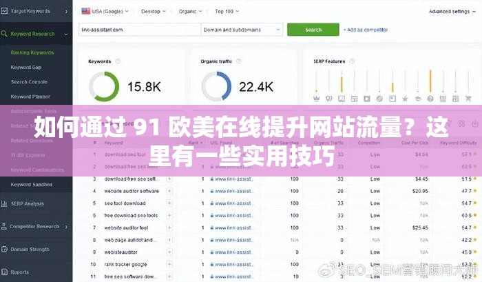 如何通過(guò) 91 歐美在線提升網(wǎng)站流量？這里有一些實(shí)用技巧