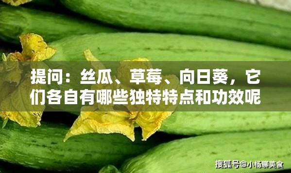 提問(wèn)：絲瓜、草莓、向日葵，它們各自有哪些獨(dú)特特點(diǎn)和功效呢？