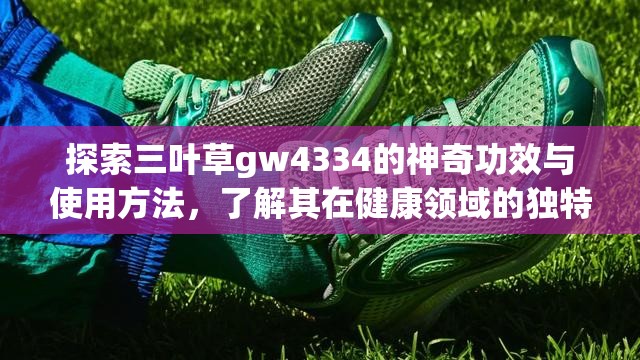 探索三葉草gw4334的神奇功效與使用方法，了解其在健康領(lǐng)域的獨(dú)特優(yōu)勢(shì)