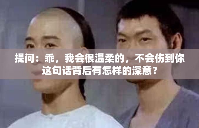 提問：乖，我會很溫柔的，不會傷到你這句話背后有怎樣的深意？