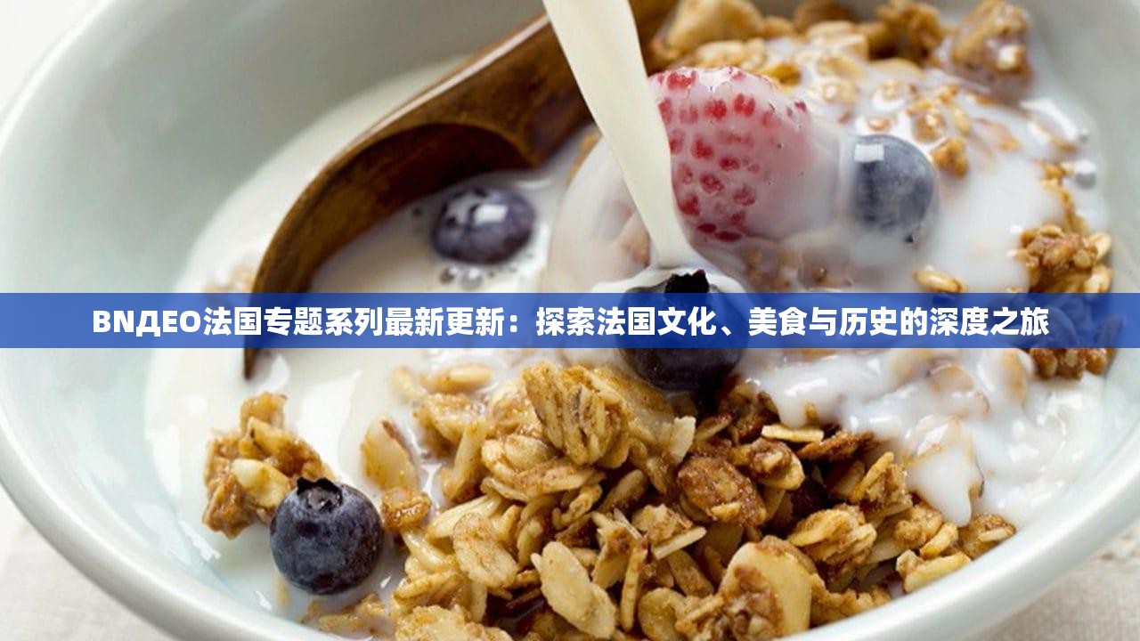 BNДEO法國(guó)專(zhuān)題系列最新更新：探索法國(guó)文化、美食與歷史的深度之旅