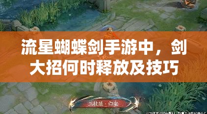 流星蝴蝶劍手游中，劍大招何時釋放及技巧如何掌握成疑？
