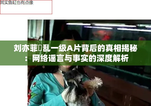 劉亦菲婬亂一級A片背后的真相揭秘：網(wǎng)絡謠言與事實的深度解析
