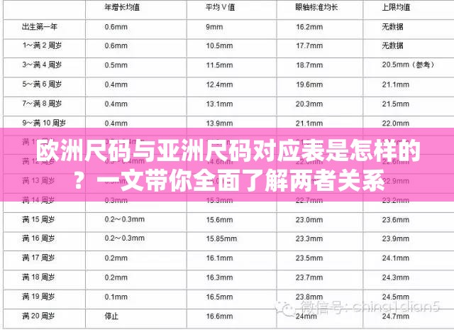 歐洲尺碼與亞洲尺碼對(duì)應(yīng)表是怎樣的？一文帶你全面了解兩者關(guān)系