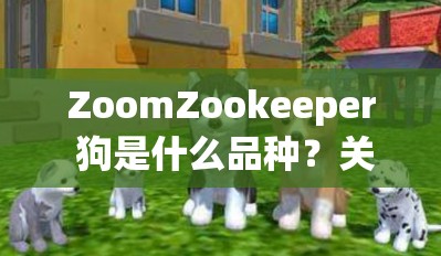 ZoomZookeeper 狗是什么品種？關(guān)于它的特點和飼養(yǎng)方法大揭秘