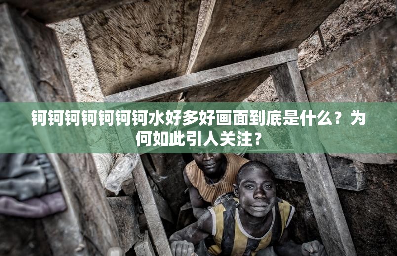鈳鈳鈳鈳鈳鈳鈳水好多好畫面到底是什么？為何如此引人關(guān)注？