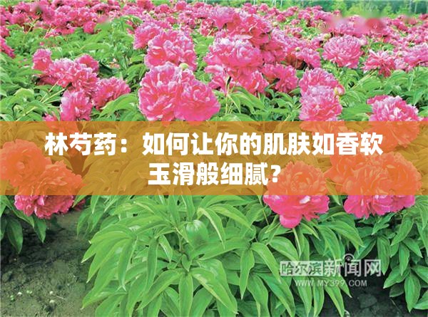 林芍藥：如何讓你的肌膚如香軟玉滑般細(xì)膩？