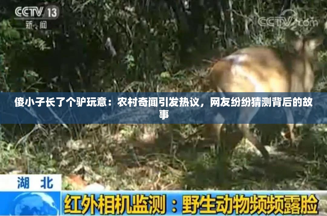傻小子長了個(gè)驢玩意：農(nóng)村奇聞引發(fā)熱議，網(wǎng)友紛紛猜測背后的故事