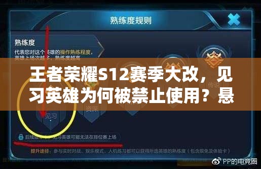 王者榮耀S12賽季大改，見習英雄為何被禁止使用？懸念揭曉！