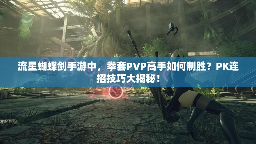 流星蝴蝶劍手游中，拳套PVP高手如何制勝？PK連招技巧大揭秘！