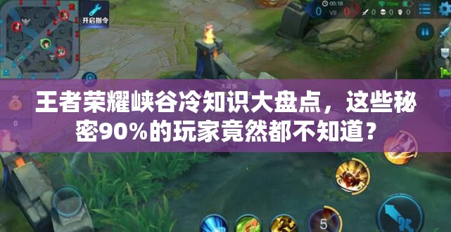 王者榮耀峽谷冷知識(shí)大盤點(diǎn)，這些秘密90%的玩家竟然都不知道？