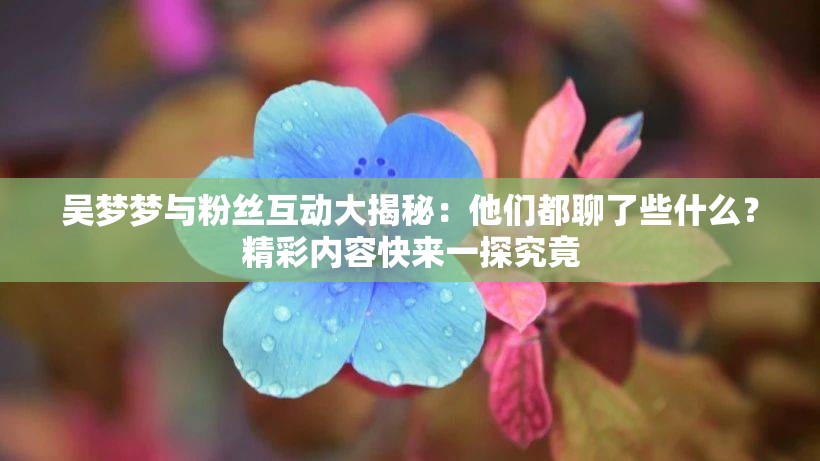 吳夢(mèng)夢(mèng)與粉絲互動(dòng)大揭秘：他們都聊了些什么？精彩內(nèi)容快來(lái)一探究竟