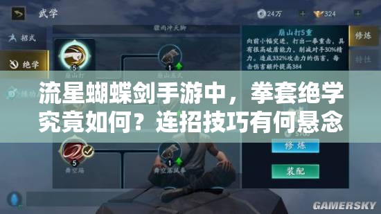 流星蝴蝶劍手游中，拳套絕學(xué)究竟如何？連招技巧有何懸念？