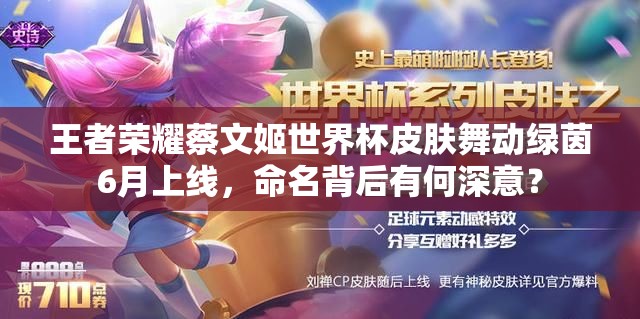 王者榮耀蔡文姬世界杯皮膚舞動綠茵6月上線，命名背后有何深意？