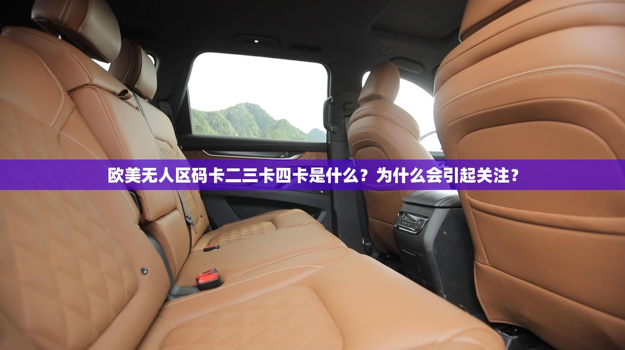 歐美無人區(qū)碼卡二三卡四卡是什么？為什么會引起關(guān)注？