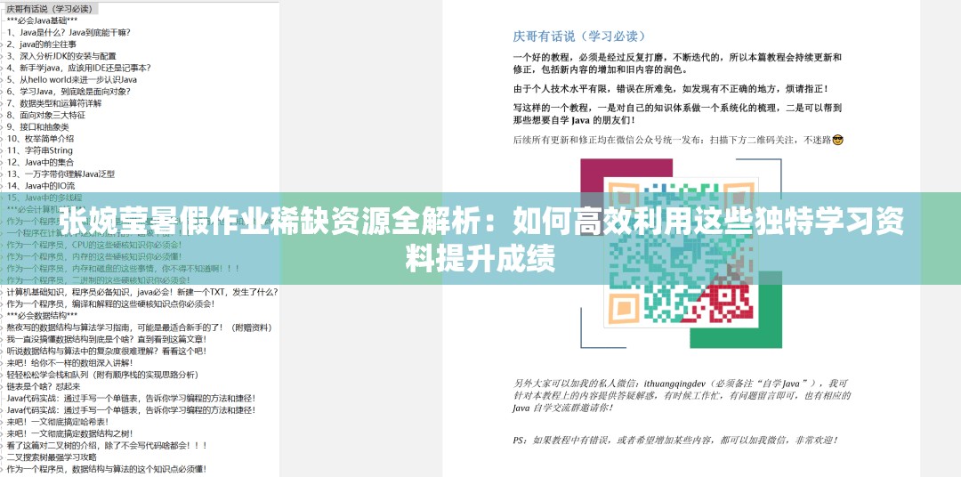 張婉瑩暑假作業(yè)稀缺資源全解析：如何高效利用這些獨(dú)特學(xué)習(xí)資料提升成績(jī)