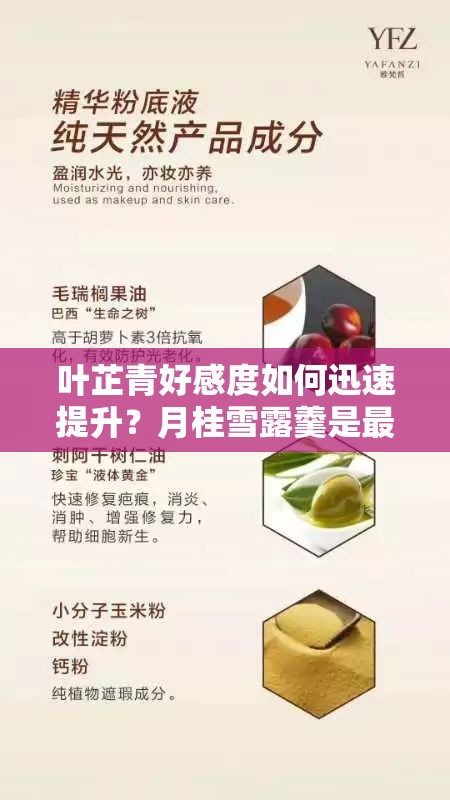 葉芷青好感度如何迅速提升？月桂雪露羹是最佳禮物嗎？
