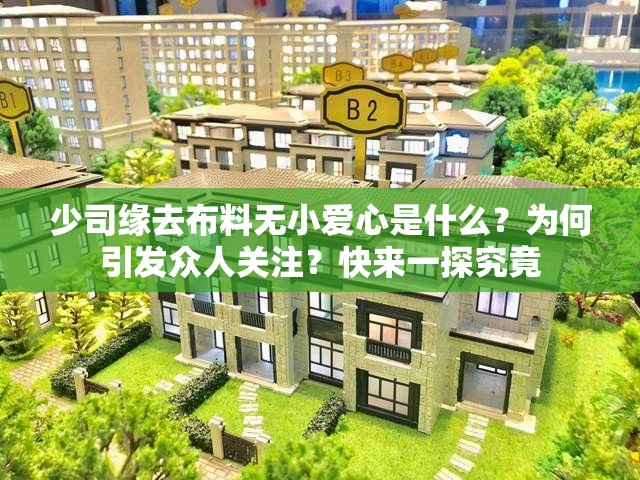 少司緣去布料無小愛心是什么？為何引發(fā)眾人關注？快來一探究竟