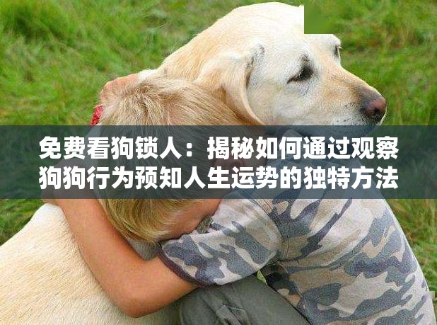免費看狗鎖人：揭秘如何通過觀察狗狗行為預知人生運勢的獨特方法