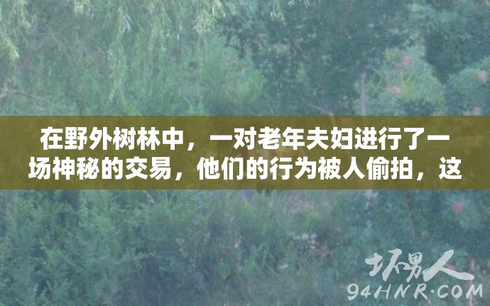 在野外樹林中，一對老年夫婦進(jìn)行了一場神秘的交易，他們的行為被人偷拍，這張照片在網(wǎng)絡(luò)上引起了軒然大波這對夫婦的身份和交易內(nèi)容成為了人們關(guān)注的焦點(diǎn)，各種猜測和傳言不斷涌現(xiàn)這張照片揭示了社會中存在的一些問題，也引發(fā)了人們對于隱私和道德的深刻思考