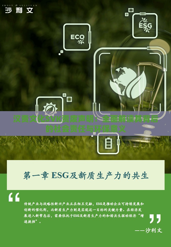 漢責(zé)文化SVK責(zé)廢聲明：全面解讀其背后的社會(huì)責(zé)任與環(huán)保意義