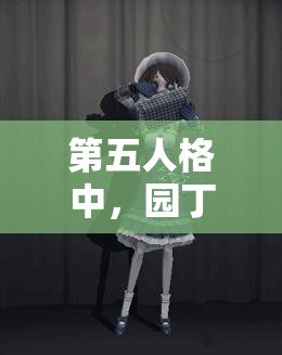 第五人格中，園丁、醫(yī)生與空軍聯(lián)手，拆椅戰(zhàn)術(shù)下資源管理的重要性何在？策略揭秘！
