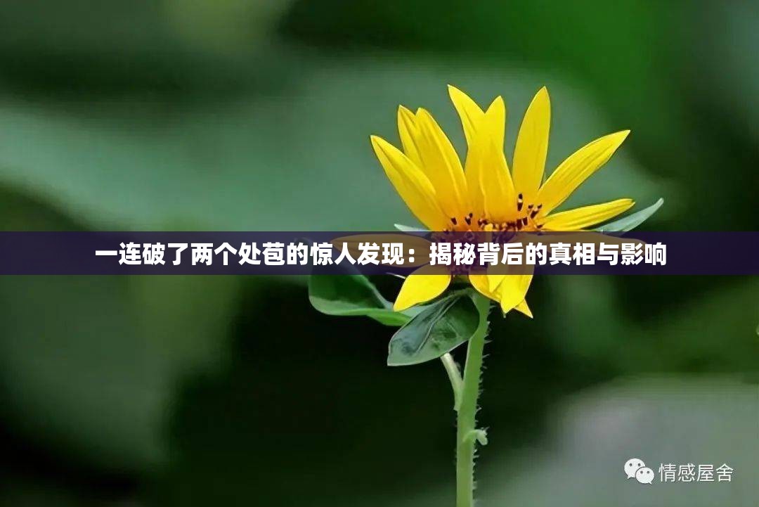 一連破了兩個處苞的驚人發(fā)現(xiàn)：揭秘背后的真相與影響