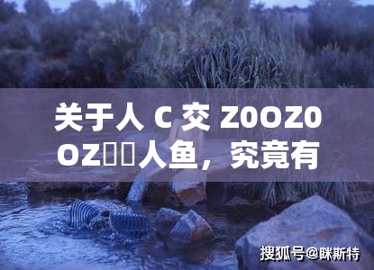 關(guān)于人 C 交 Z0OZ0OZ??人魚，究竟有著怎樣神秘而特別的故事？