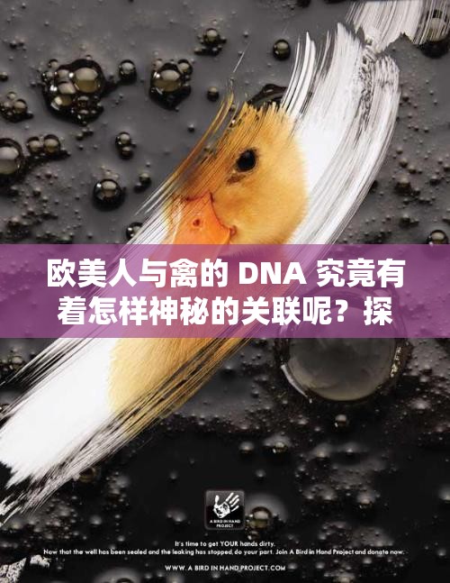 歐美人與禽的 DNA 究竟有著怎樣神秘的關(guān)聯(lián)呢？探秘其中奧秘歐美人與禽的 DNA 生成如此奇特組合背后有何緣由？歐美人與禽的 DNA 是如何相互交織產(chǎn)生奇妙現(xiàn)象的？