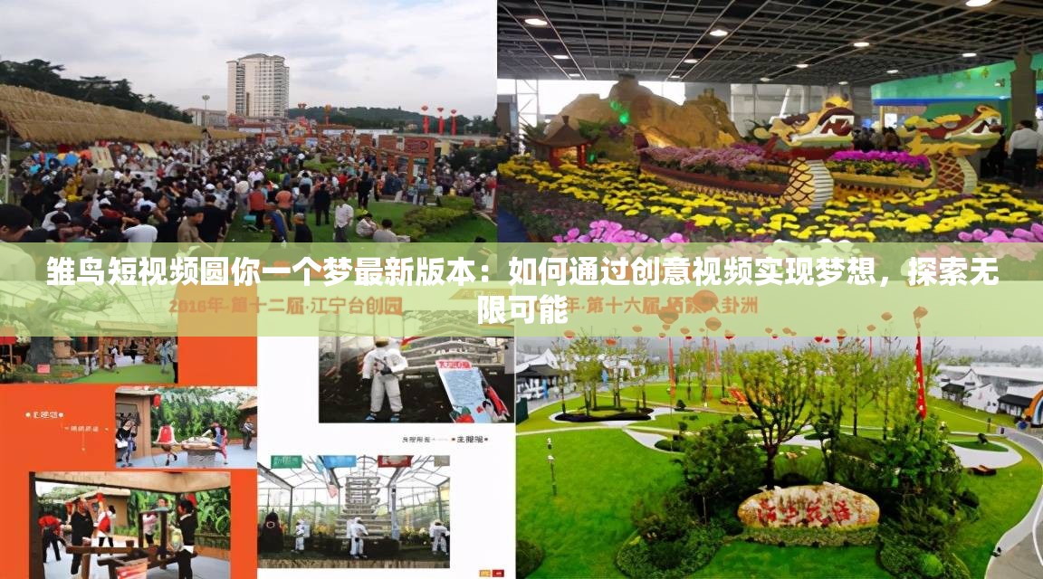 雛鳥(niǎo)短視頻圓你一個(gè)夢(mèng)最新版本：如何通過(guò)創(chuàng)意視頻實(shí)現(xiàn)夢(mèng)想，探索無(wú)限可能