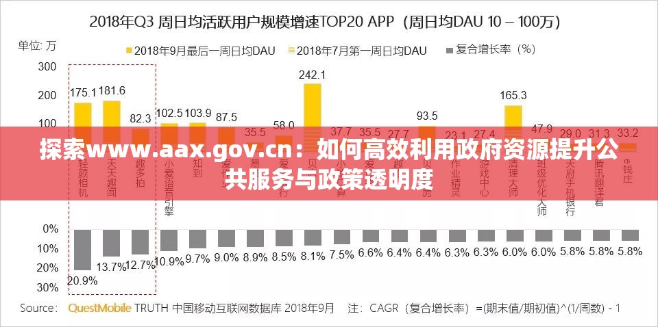 探索www.aax.gov.cn：如何高效利用政府資源提升公共服務(wù)與政策透明度
