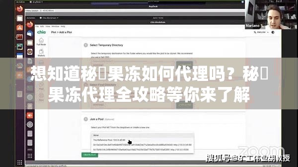 想知道秘媞果凍如何代理嗎？秘媞果凍代理全攻略等你來了解