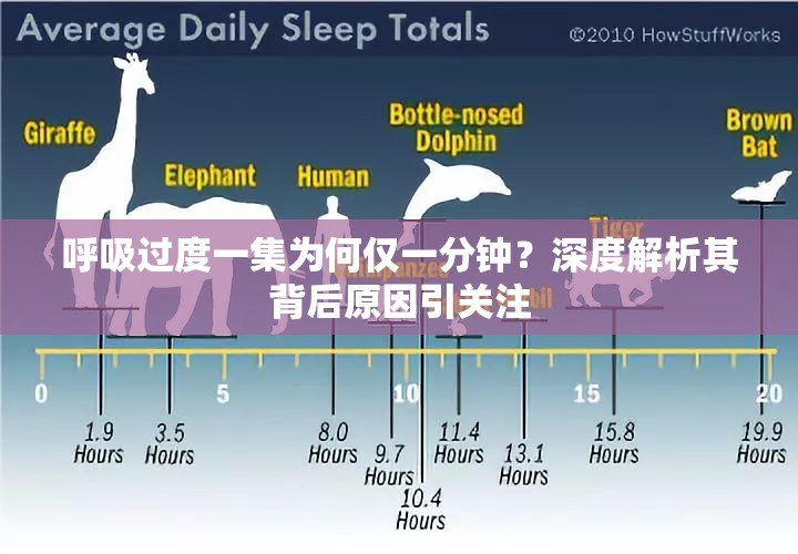 呼吸過度一集為何僅一分鐘？深度解析其背后原因引關(guān)注