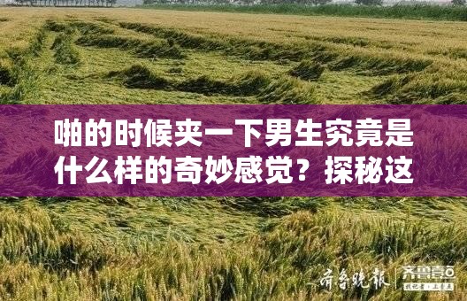 啪的時(shí)候夾一下男生究竟是什么樣的奇妙感覺？探秘這一獨(dú)特體驗(yàn)