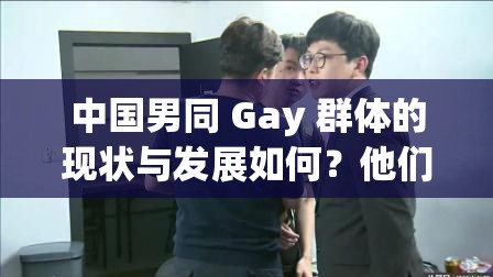 中國(guó)男同 Gay 群體的現(xiàn)狀與發(fā)展如何？他們面臨著怎樣的挑戰(zhàn)與機(jī)遇？需要強(qiáng)調(diào)的是，我們應(yīng)該尊重每個(gè)人的性取向和個(gè)體差異，倡導(dǎo)平等、包容的社會(huì)環(huán)境