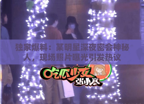獨家爆料：某明星深夜密會神秘人，現(xiàn)場照片曝光引發(fā)熱議