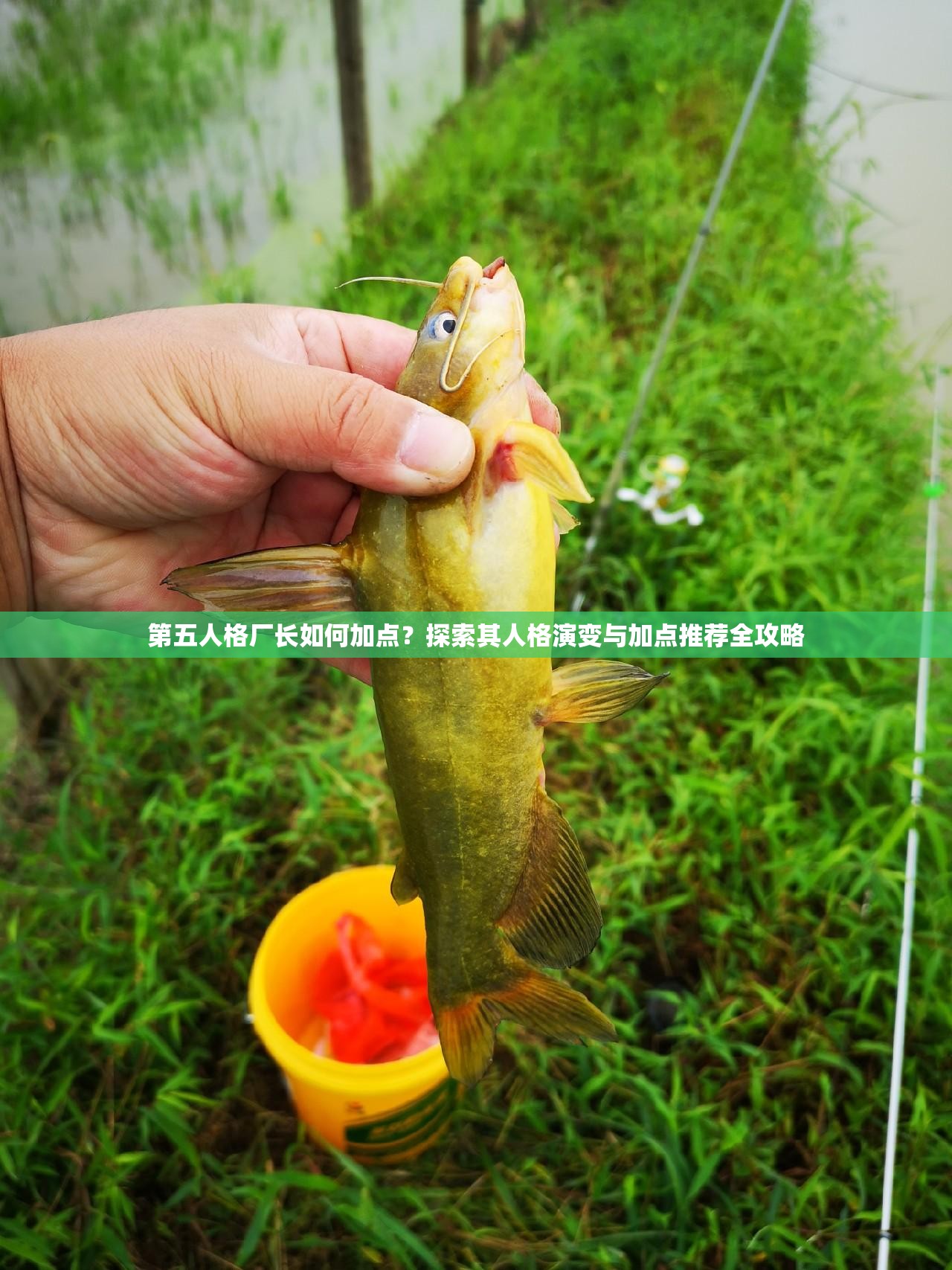 第五人格廠(chǎng)長(zhǎng)如何加點(diǎn)？探索其人格演變與加點(diǎn)推薦全攻略