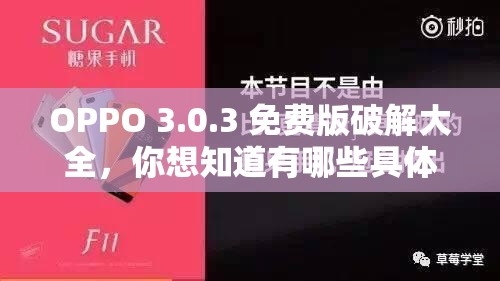 OPPO 3.0.3 免費(fèi)版破解大全，你想知道有哪些具體內(nèi)容嗎？快來(lái)一探究竟
