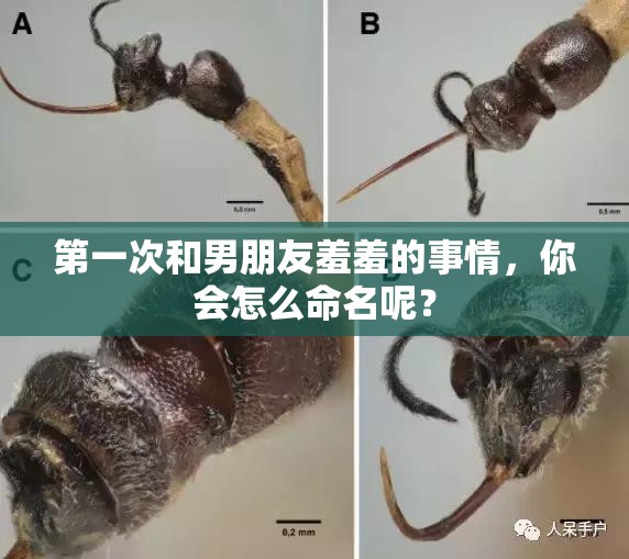第一次和男朋友羞羞的事情，你會怎么命名呢？