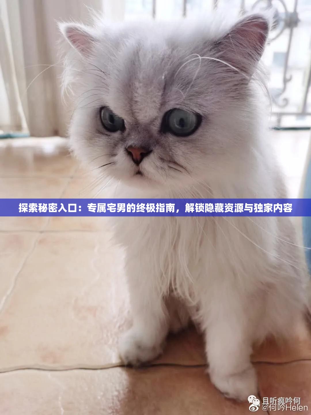 探索秘密入口：專屬宅男的終極指南，解鎖隱藏資源與獨家內(nèi)容