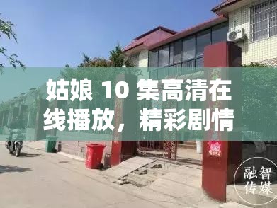 姑娘 10 集高清在線播放，精彩劇情何處尋？快來(lái)一探究竟吧