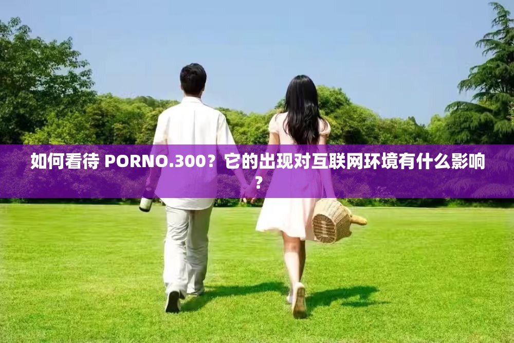 如何看待 PORNO.300？它的出現(xiàn)對(duì)互聯(lián)網(wǎng)環(huán)境有什么影響？