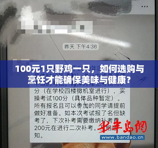 100元1只野雞一只，如何選購(gòu)與烹飪才能確保美味與健康？
