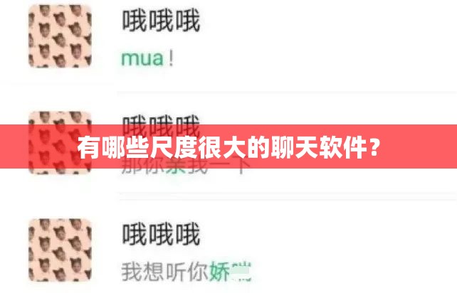 有哪些尺度很大的聊天軟件？